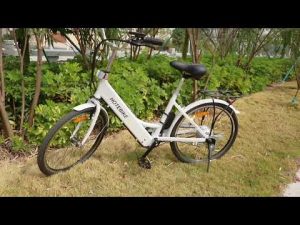 Shuangye 24 inch classic ebike A5