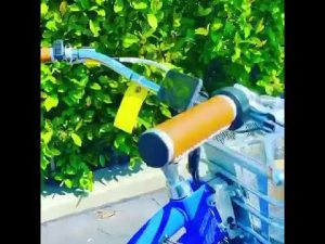 Blue Trim
