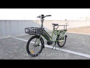 2020 EUNORAU 24”48V500W Mid Motor Electric Long Trail Cargo Bike For Family Wagon