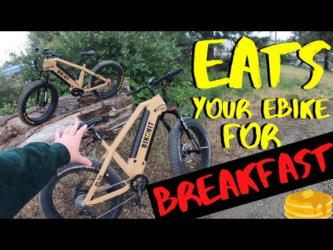I want DUAL BATTERIES with BELT DRIVE on an ELECTRIC BIKE