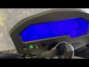 The ALL NEW Wolf Striker! Review & Walk Around!