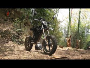 Denzel Escort EXCITE – Laboratory test