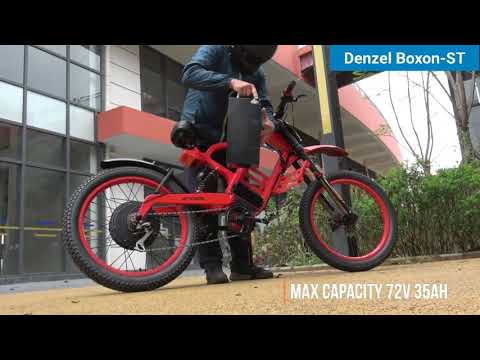 Unique Carbon Fiber Electric Bicycle Denzel Boxon-ST