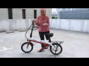 Powerful ebike comparison between Dynamic VS Zebra