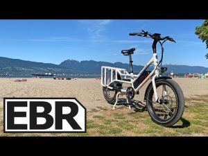 Rad Power Bikes RadWagon 4 Review – .5k Best Affordable Electric Cargo Bike