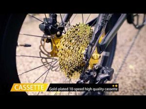Singapore USA Camp Gold High end foldable bicycle