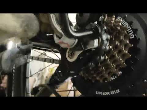 How to install the rear wheel into the frame–Sunshine