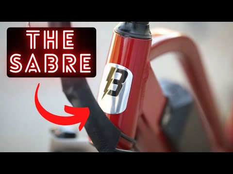 Want A Step Through Full Size Electric Bike?