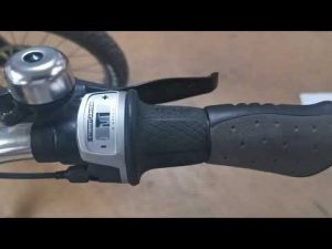 Adjusting Sturmey Archer RX-RK5 Internally Geared Hub