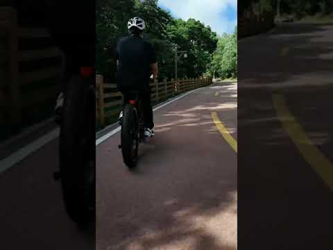 Shuangye 26″ electric fat bike