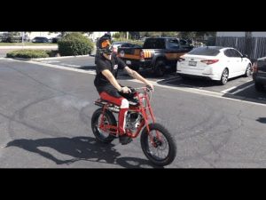 The Shred-it Edit: The wildest shop vlog yet! Custom S1, Heelys, S1/S2 ride, Grip Tips, Shop update