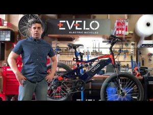What’s an EVELO Open Box Bike?