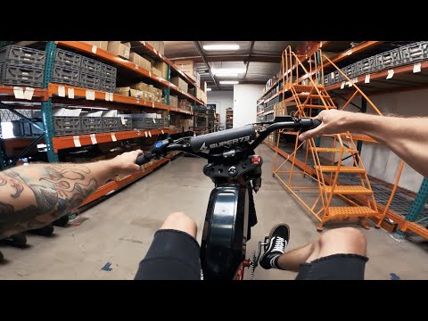 The Shred-it Edit: Back To Shredding The RX