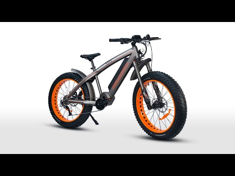 Addmotor Wildtan Assembly Tutorial & Operations Guide