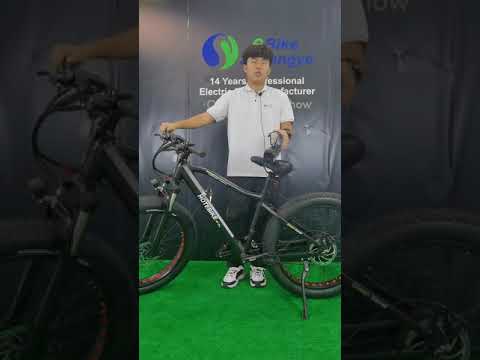 Shuangye hot sell 26”*4.0 fat tire electric bike A6AH26F