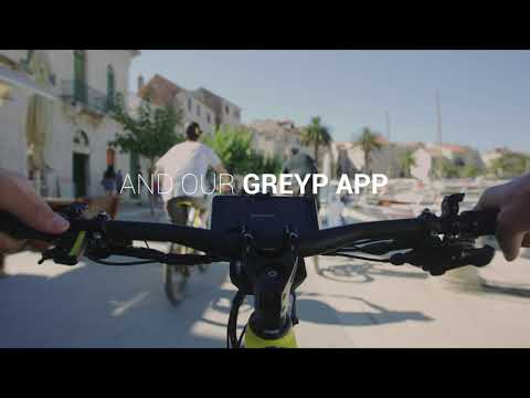Greyp summer – always in good company.