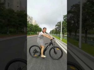 Shuangye most popular 26” 27.5” 29” electric mountain bike A6AH26