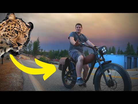 Modern With Vintage Electric Bike Looks
