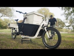 Electric Supermarché – Charlie Bee Company