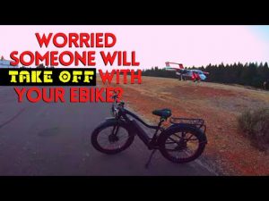 Bicycle Seat Lock or Lock with a Bicycle Seat?