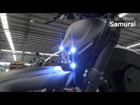 Powerful Electric Carbon Fiber bike Denzel Samurai