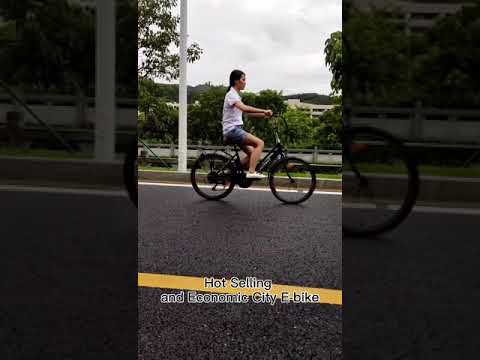 Shuangye 24” 28” city commute ebike A3AL24