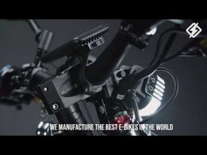 Delfast TOP 3.0 Electric Bike