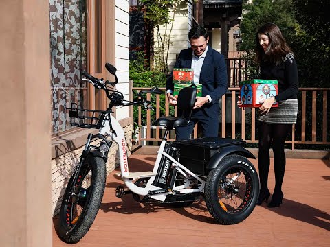 Addmotor Electric Bikes🎄New release M-340 trike🎁Best gift for your Christmas & New Year!
